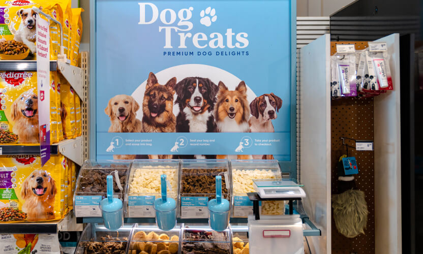 Dog Treats NZ